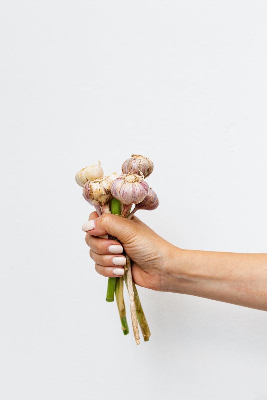 photo of a person s hand holding a bunch of garlic